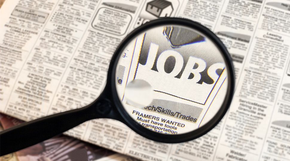 jobs | employment | labour | careers | newspaper | zoom