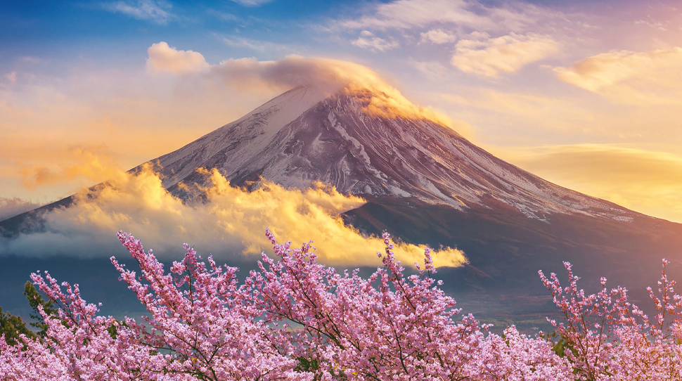 Japón | cerezos en flor | Fuji | nubes | inversiones | cielo | nieve | rosa | blanco | naranja